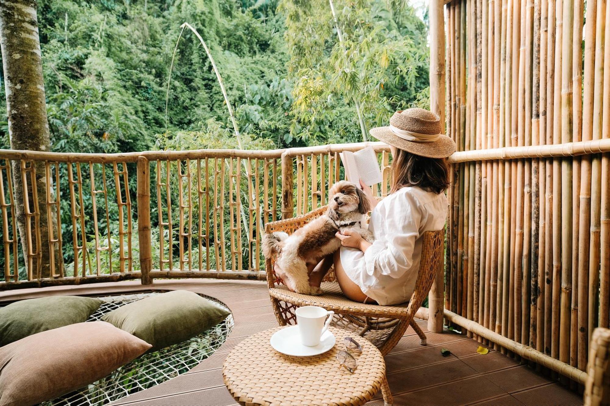 Treehouse De Valentine Villa Balamban Kültér fotó